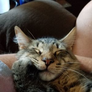 Meet your Posher, Shauna